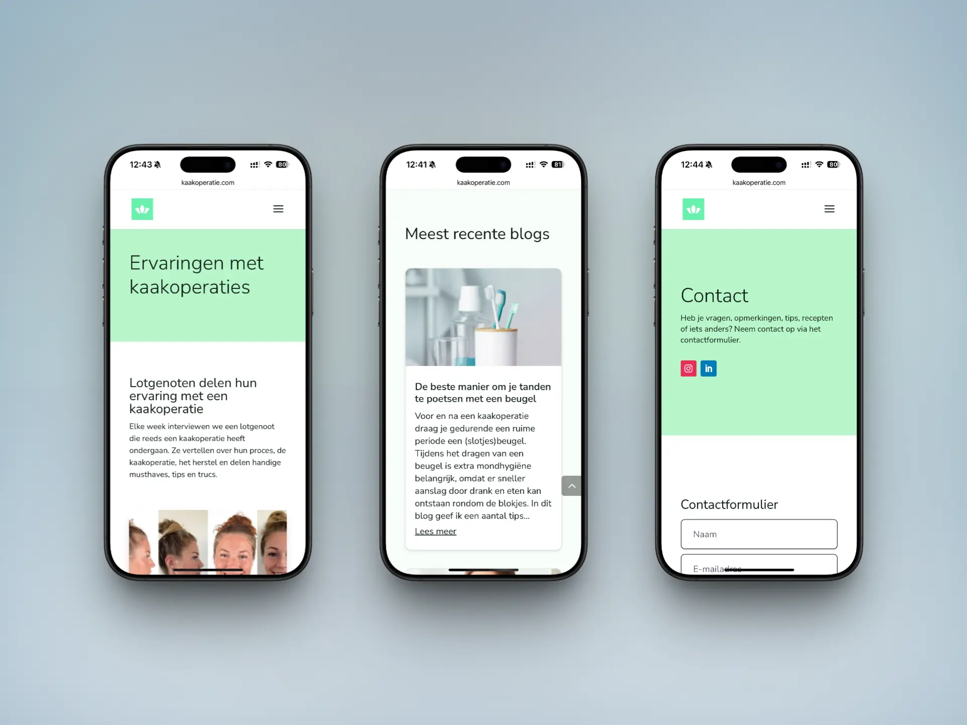 Website laten maken Gelderland Website laten maken Gelderland